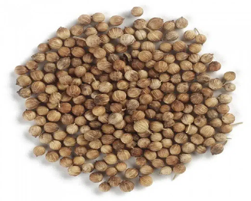 Коріандр зерно (99% очищення)